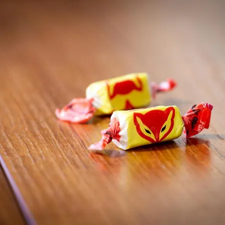 Kulkuri Hostellit بيت شباب