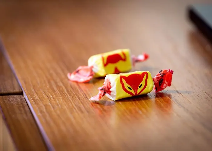 Kulkuri Hostellit Hostel